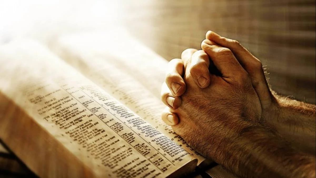 Arise photo